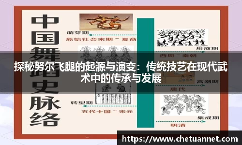 探秘努尔飞腿的起源与演变:传统技艺在现代武术中的传承与发展