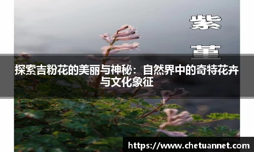 BWIN必赢手机网页版登录